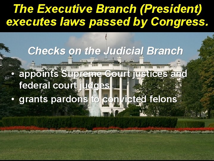 The Executive Branch (President) executes laws passed by Congress. Checks on the Judicial Branch