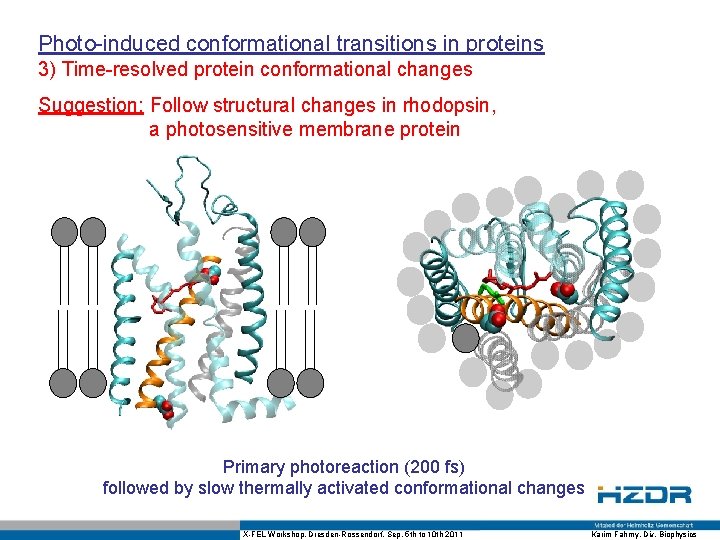 Photo-induced conformational transitions in proteins 3) Time-resolved protein conformational changes Suggestion: Follow structural changes