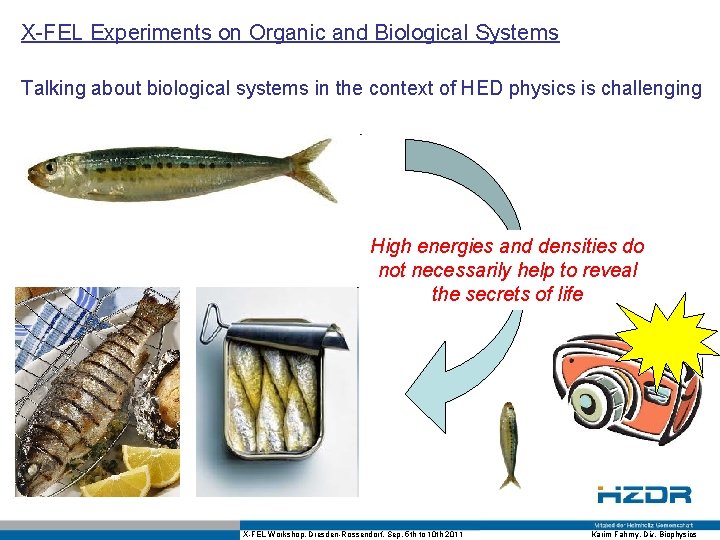 X-FEL Experiments on Organic and Biological Systems Talking about biological systems in the context