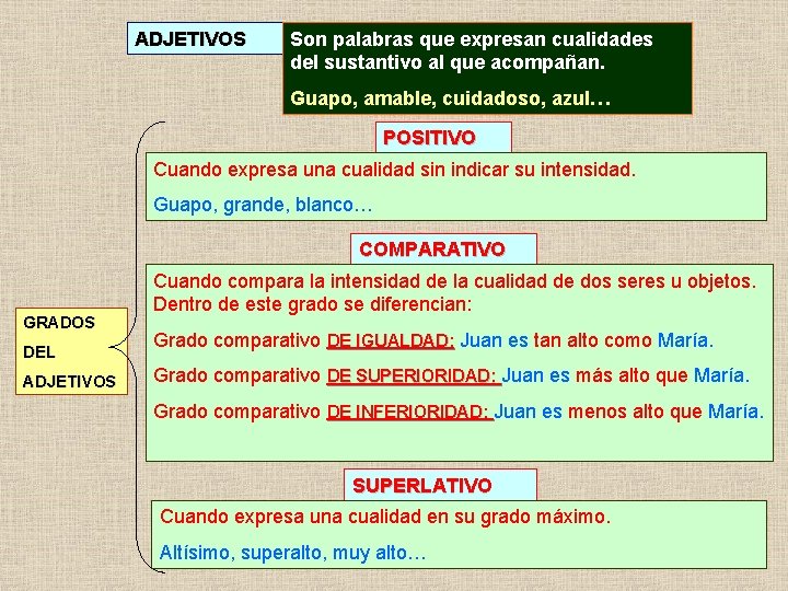 ADJETIVOS Son palabras que expresan cualidades del sustantivo al que acompañan. Guapo, amable, cuidadoso,