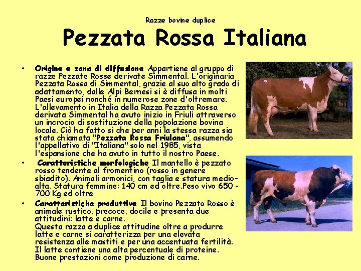 Razze bovine duplice Pezzata Rossa Italiana • • • Origine e zona di diffusione Razze bovine duplice Pezzata Rossa Italiana • • • Origine e zona di diffusione