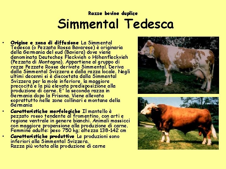 Razze bovine duplice Simmental Tedesca • • • Origine e zona di diffusione La Razze bovine duplice Simmental Tedesca • • • Origine e zona di diffusione La