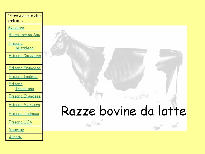 Oltre a quelle che vedrai…. Ayrshire Brown Swiss Am. Frisona Austriaca Frisona Canadese Frisona Oltre a quelle che vedrai…. Ayrshire Brown Swiss Am. Frisona Austriaca Frisona Canadese Frisona