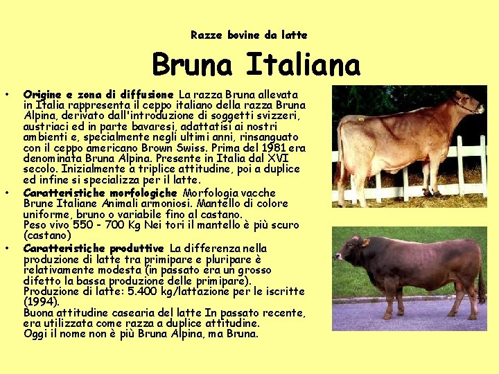 Razze bovine da latte Bruna Italiana • • • Origine e zona di diffusione Razze bovine da latte Bruna Italiana • • • Origine e zona di diffusione