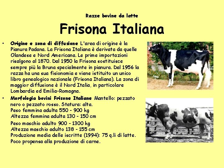 Razze bovine da latte Frisona Italiana • • Origine e zona di diffusione L'area Razze bovine da latte Frisona Italiana • • Origine e zona di diffusione L'area