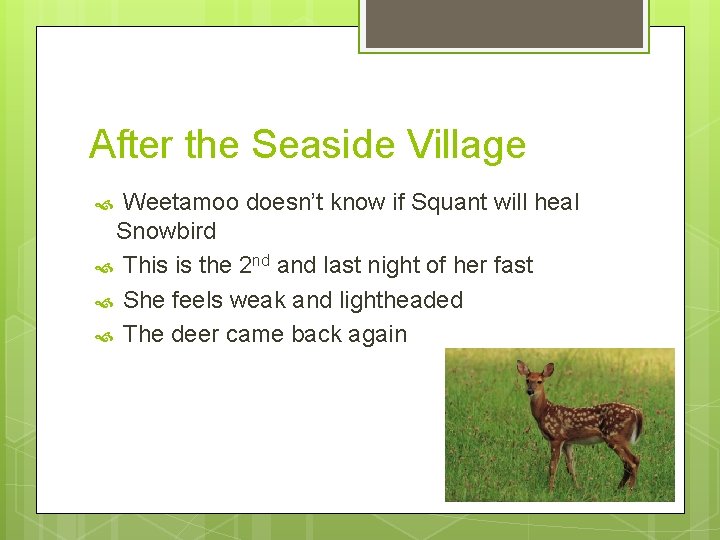 After the Seaside Village Weetamoo doesn’t know if Squant will heal Snowbird This is