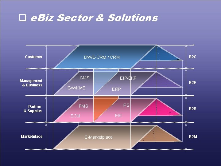 q e. Biz Sector & Solutions Customer Management & Business Partner & Supplier CMS