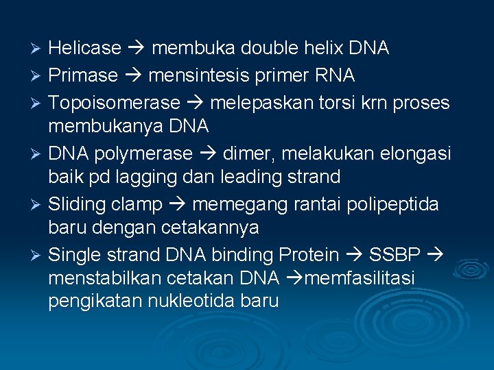 Helicase membuka double helix DNA Ø Primase mensintesis primer RNA Ø Topoisomerase melepaskan torsi