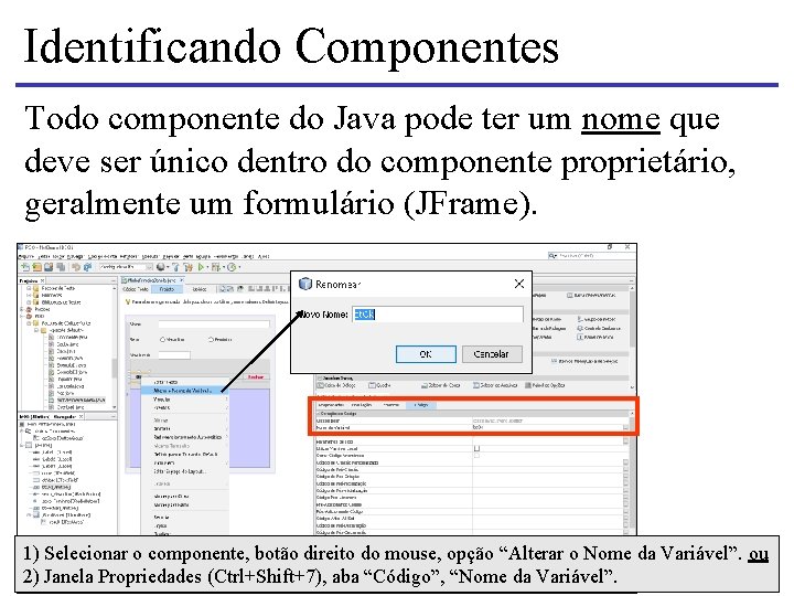 Identificando Componentes Todo componente do Java pode ter um nome que deve ser único