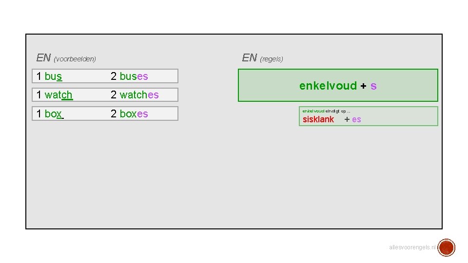 EN (voorbeelden) EN (regels) 1 bus 2 buses 1 watch 2 watches 1 box