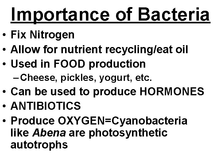 Importance of Bacteria • Fix Nitrogen • Allow for nutrient recycling/eat oil • Used
