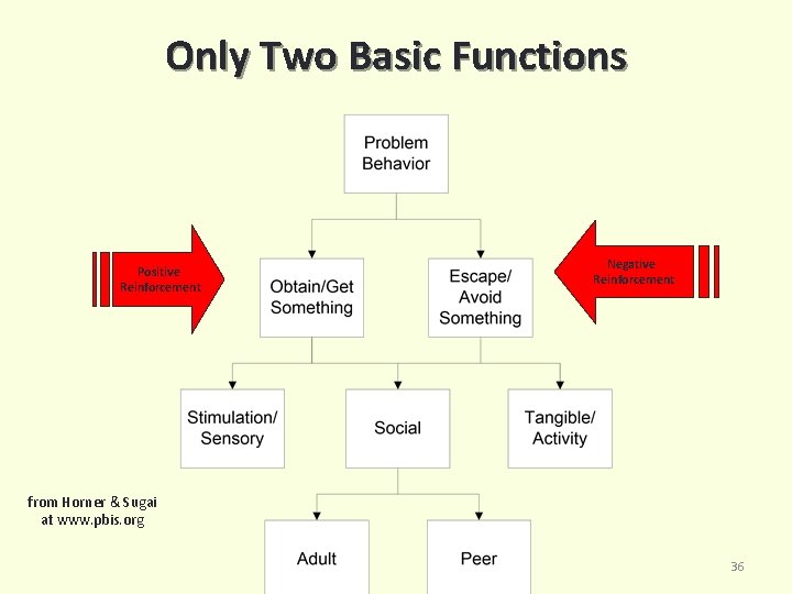 Only Two Basic Functions Positive Reinforcement Negative Reinforcement from Horner & Sugai at www.