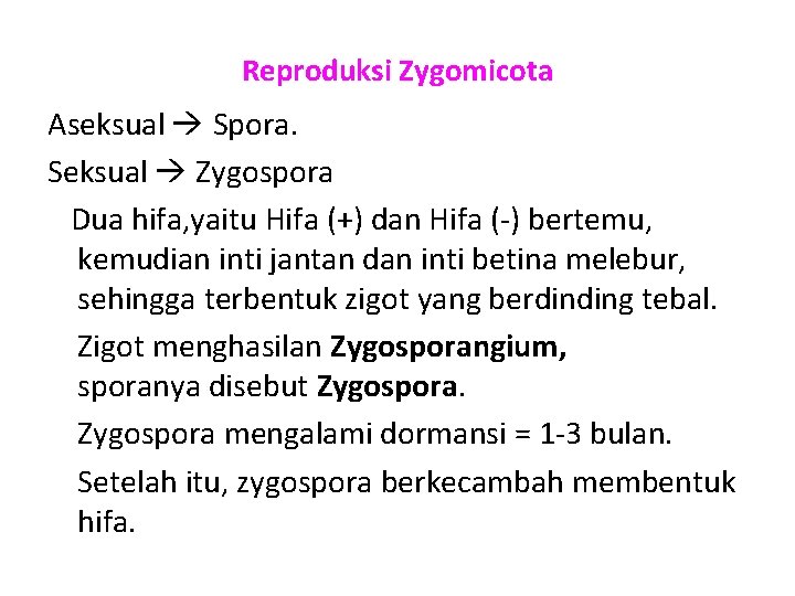 Reproduksi Zygomicota Aseksual Spora. Seksual Zygospora Dua hifa, yaitu Hifa (+) dan Hifa (-)
