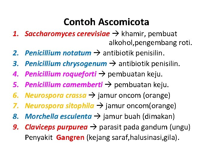Contoh Ascomicota 1. Saccharomyces cerevisiae khamir, pembuat alkohol, pengembang roti. 2. Penicillium notatum antibiotik