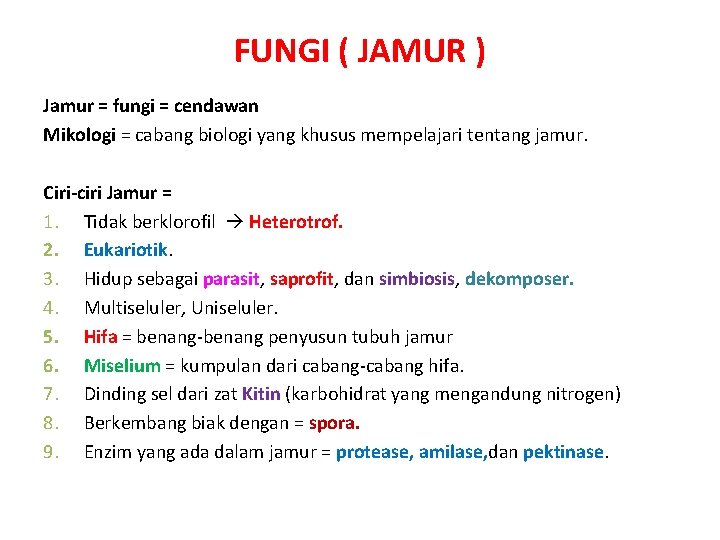 FUNGI ( JAMUR ) Jamur = fungi = cendawan Mikologi = cabang biologi yang
