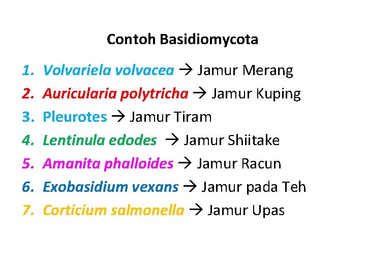Contoh Basidiomycota 1. 2. 3. 4. 5. 6. 7. Volvariela volvacea Jamur Merang Auricularia