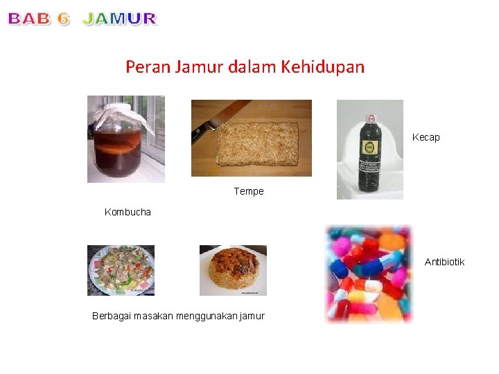 Peran Jamur dalam Kehidupan Kecap Tempe Kombucha Antibiotik Berbagai masakan menggunakan jamur 