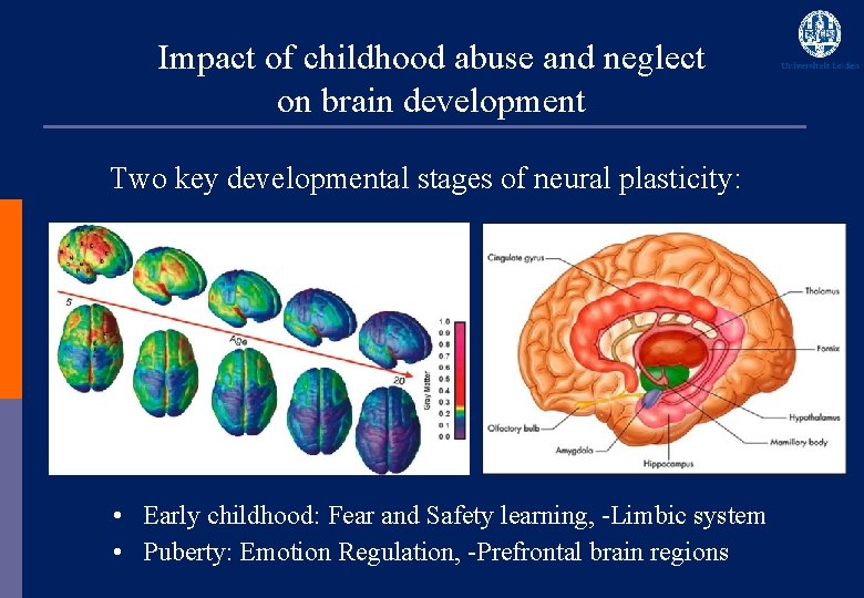 Impact of childhood abuse and neglect on brain development Two key developmental stages of
