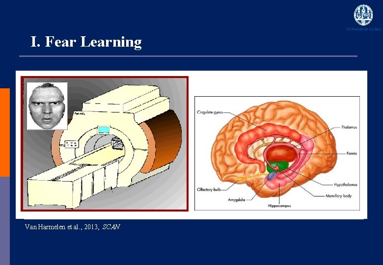 I. Fear Learning * * Van Harmelen et al. , 2013, SCAN * 