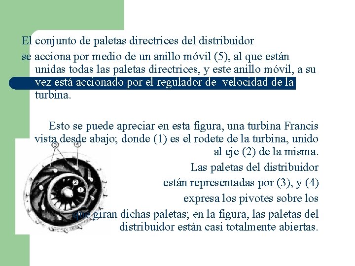 El conjunto de paletas directrices del distribuidor se acciona por medio de un anillo