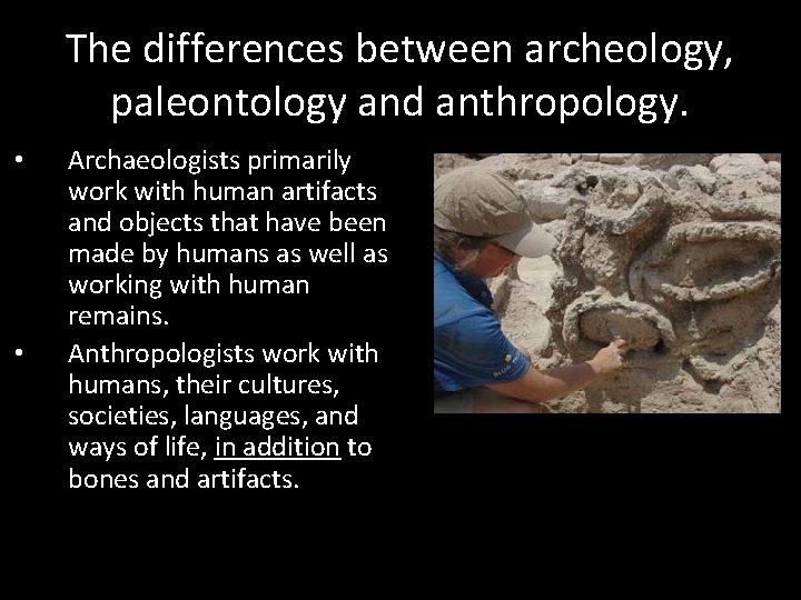 The differences between archeology, paleontology and anthropology. • • Archaeologists primarily work with human