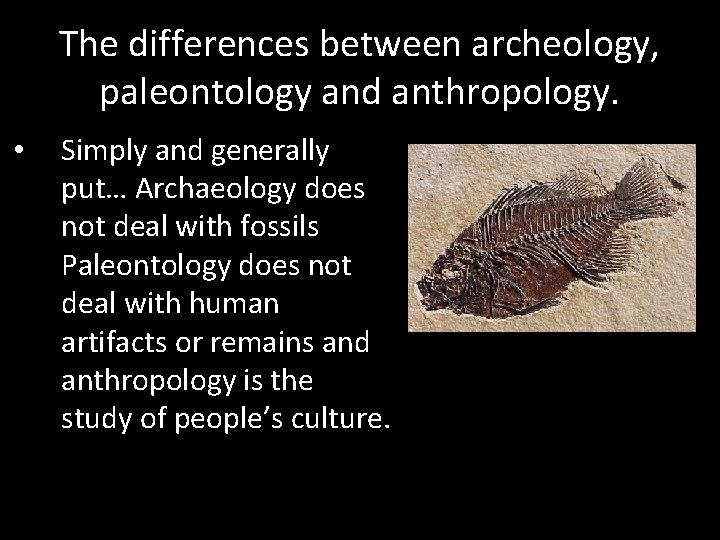 The differences between archeology, paleontology and anthropology. • Simply and generally put… Archaeology does