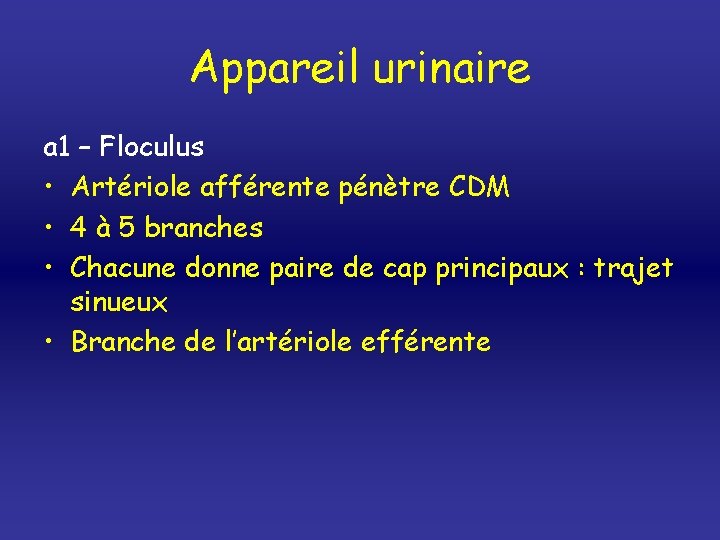 Appareil urinaire a 1 – Floculus • Artériole afférente pénètre CDM • 4 à