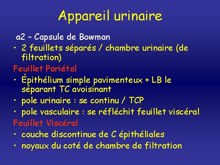 Appareil urinaire a 2 – Capsule de Bowman • 2 feuillets séparés / chambre