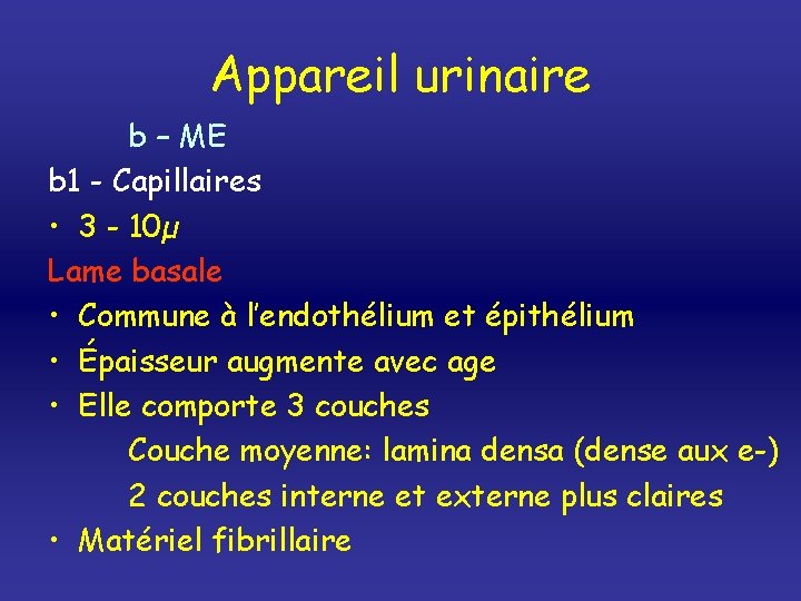 Appareil urinaire b – ME b 1 - Capillaires • 3 - 10µ Lame