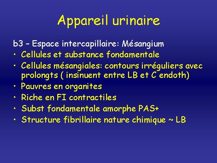 Appareil urinaire b 3 – Espace intercapillaire: Mésangium • Cellules et substance fondamentale •