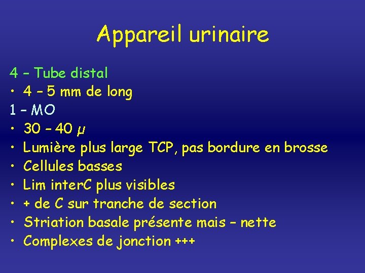 Appareil urinaire 4 – Tube distal • 4 – 5 mm de long 1