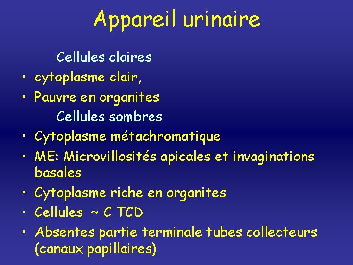 Appareil urinaire • • Cellules claires cytoplasme clair, Pauvre en organites Cellules sombres Cytoplasme