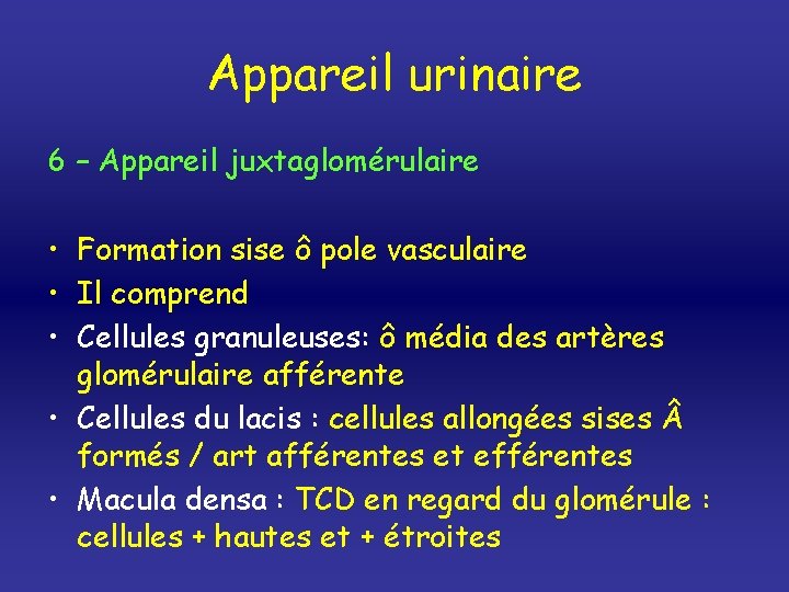 Appareil urinaire 6 – Appareil juxtaglomérulaire • Formation sise ô pole vasculaire • Il