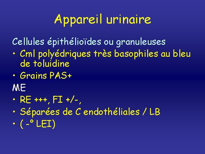 Appareil urinaire Cellules épithélioïdes ou granuleuses • Cml polyédriques très basophiles au bleu de