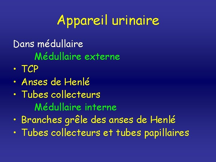 Appareil urinaire Dans médullaire Médullaire externe • TCP • Anses de Henlé • Tubes