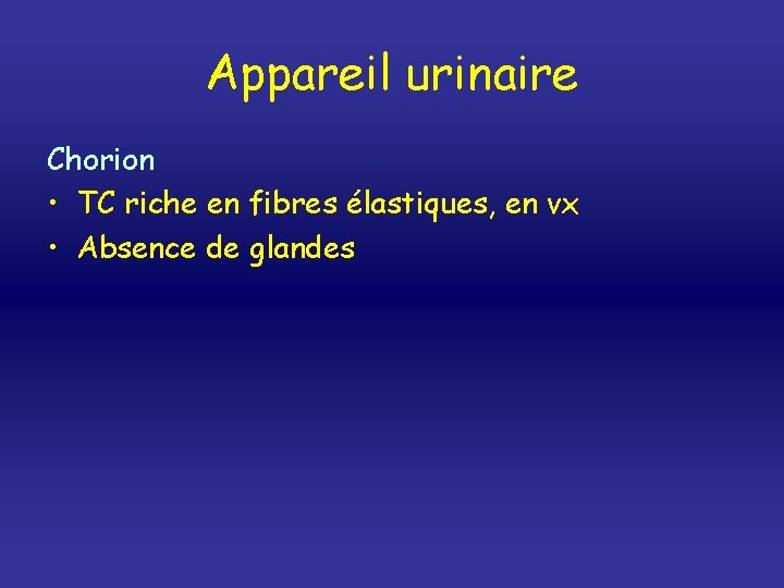 Appareil urinaire Chorion • TC riche en fibres élastiques, en vx • Absence de