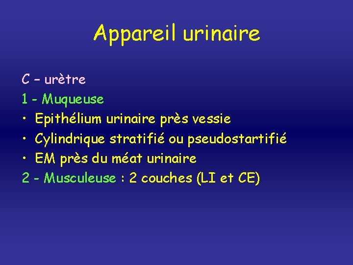 Appareil urinaire C – urètre 1 - Muqueuse • Epithélium urinaire près vessie •