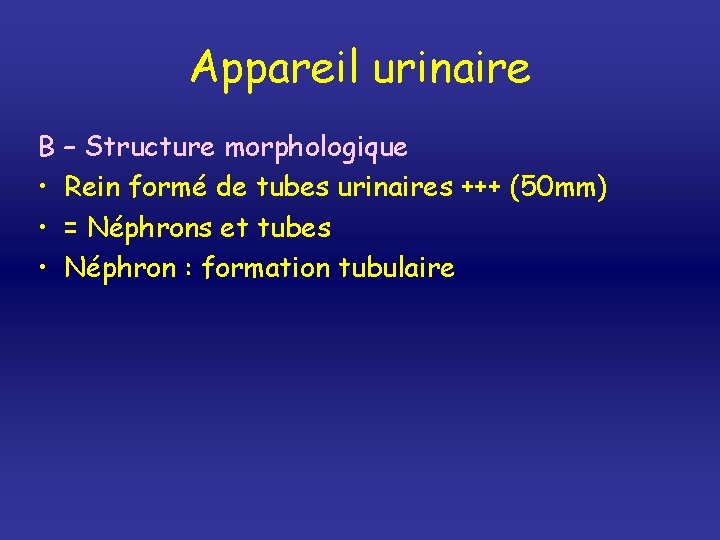 Appareil urinaire B – Structure morphologique • Rein formé de tubes urinaires +++ (50