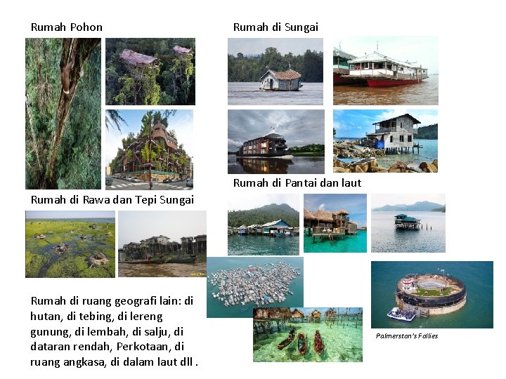 Rumah Pohon Rumah di Sungai Rumah di Pantai dan laut Rumah di Rawa dan