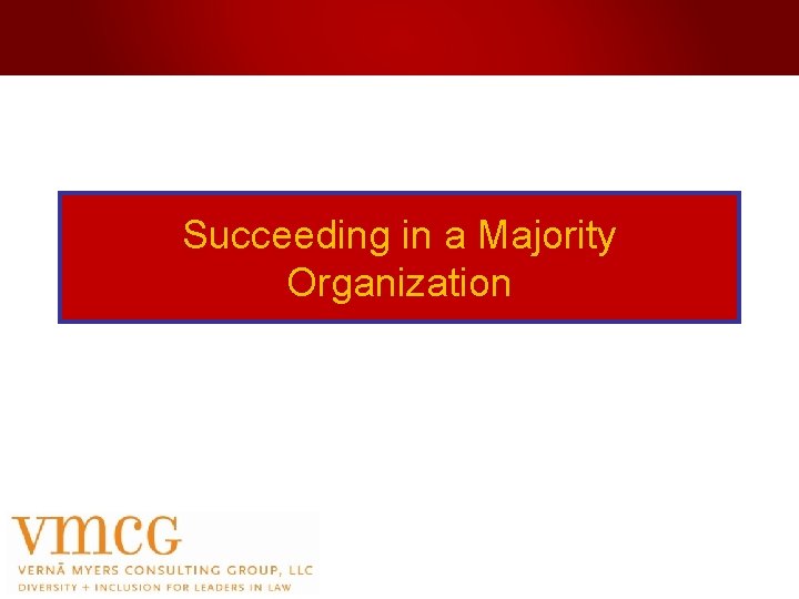 Succeeding in a Majority Organization 