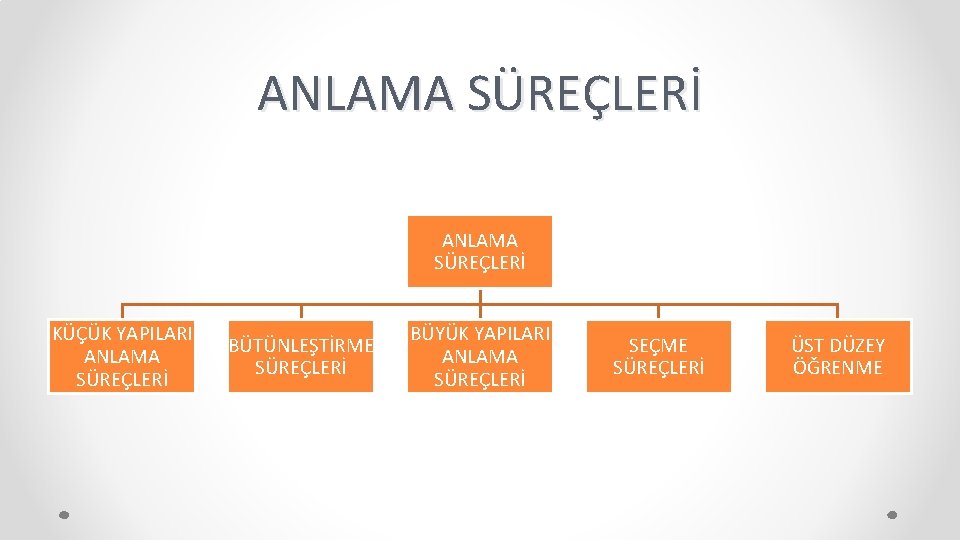 ANLAMA SÜREÇLERİ KÜÇÜK YAPILARI ANLAMA SÜREÇLERİ BÜTÜNLEŞTİRME SÜREÇLERİ BÜYÜK YAPILARI ANLAMA SÜREÇLERİ SEÇME SÜREÇLERİ