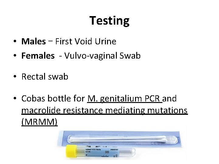 Testing • Males – First Void Urine • Females - Vulvo-vaginal Swab • Rectal