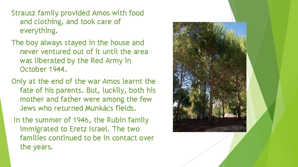 Strausz family provided Amos with food and clothing, and took care of everything. The