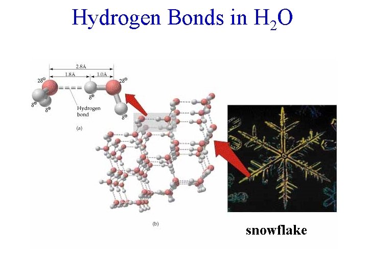 Hydrogen Bonds in H 2 O snowflake 