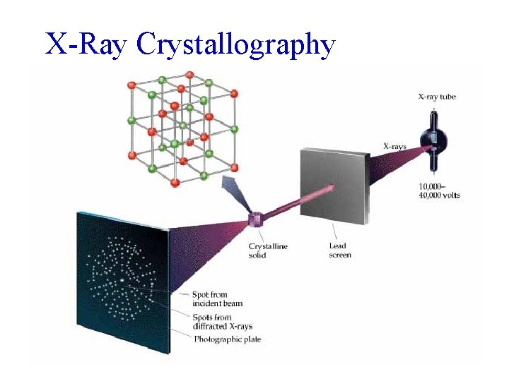 X-Ray Crystallography 