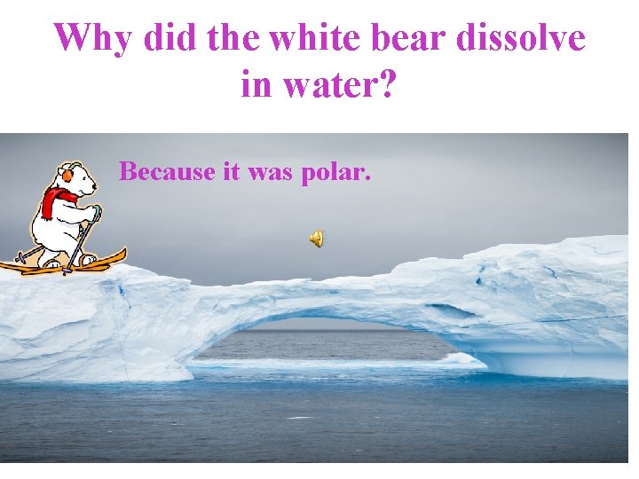 Why did the white bear dissolve in water? Because it was polar. 