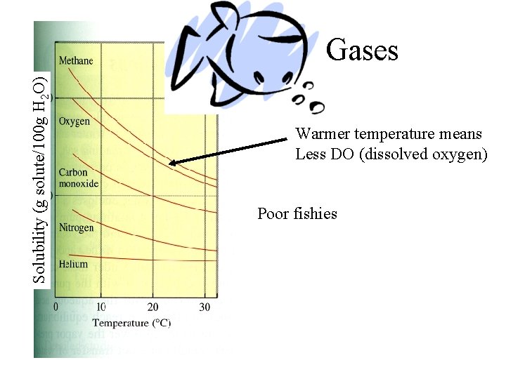 Solubility (g solute/100 g H 2 O) Gases Warmer temperature means Less DO (dissolved