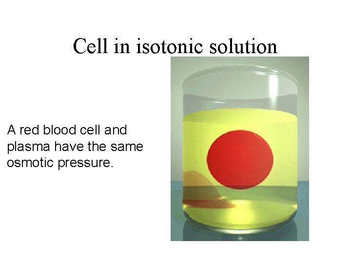 Cell in isotonic solution A red blood cell and plasma have the same osmotic