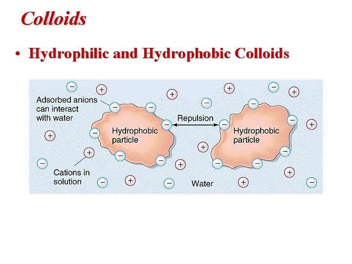 Colloids • Hydrophilic and Hydrophobic Colloids 