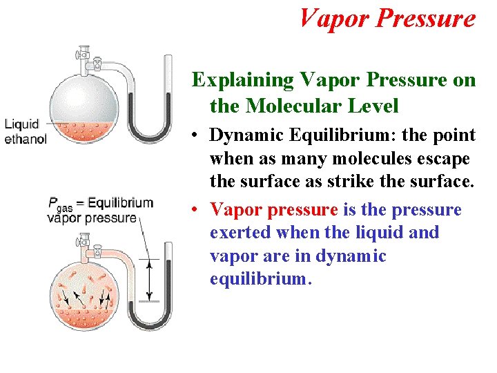 Vapor Pressure Explaining Vapor Pressure on the Molecular Level • Dynamic Equilibrium: the point